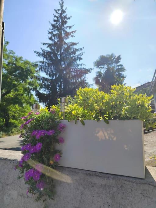Studio Apartman Tadic Matulji Εξωτερικό φωτογραφία